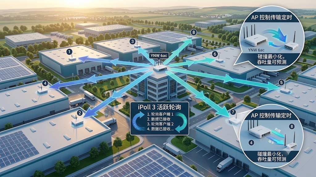 PtMP网络拓扑场景图